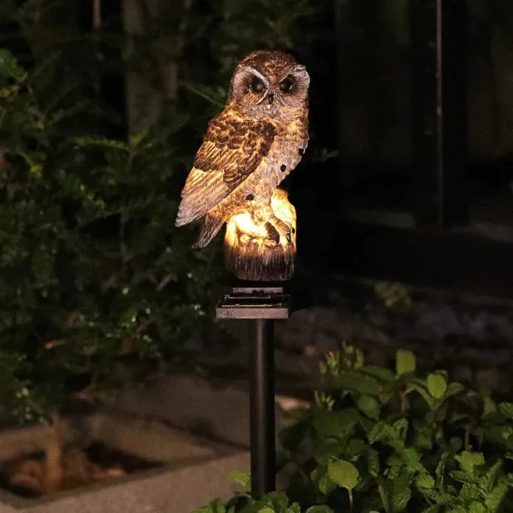 🔥Hot Sale 50% OFF🔥Solar-Powered Owl Light